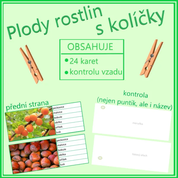 Plody rostlin s kolíčky 1