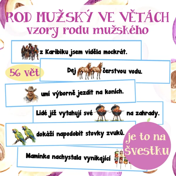 Rod mužský ve větách - vzory rodu ženského 1