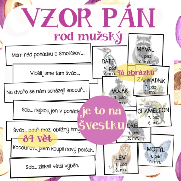 vzor PÁN 1