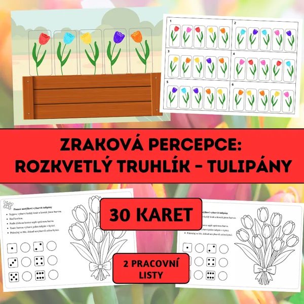 Zraková percepce: Rozkvetlý truhlík – tulipány 1