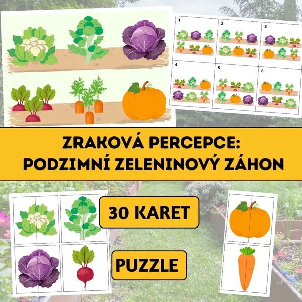 Zraková percepce: Podzimní zeleninový záhon 1