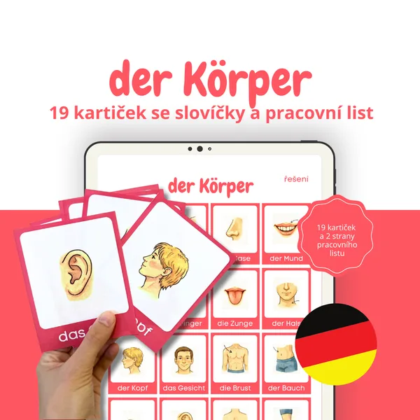 Der Körper: 19 kartiček se slovíčky o lidském těle a pracovní list 1