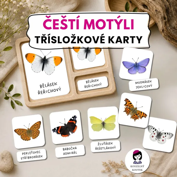 Třísložkové karty - čeští motýli | Montessori karty | Motýli | Hmyz | Entomologie 1