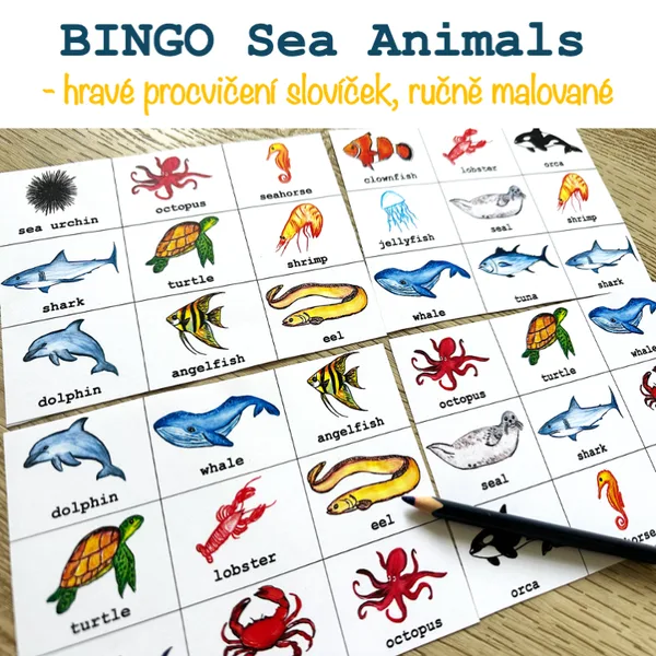 Bingo - Sea Animals (ručně malované) 1