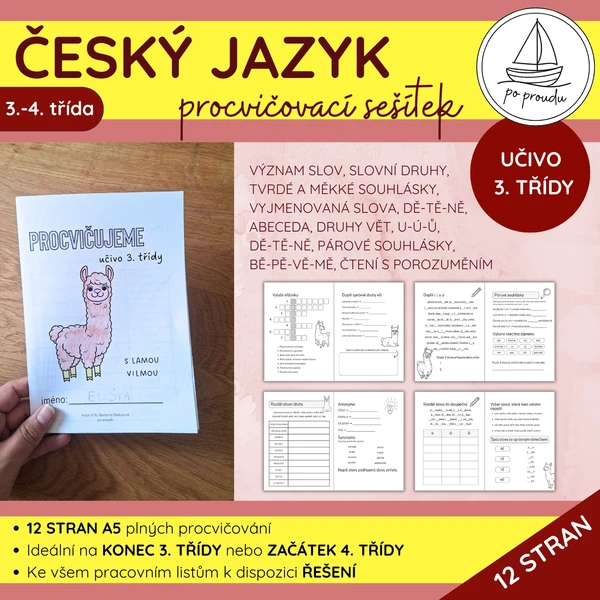 Český jazyk pro 3. třídu | procvičovací sešítek 1