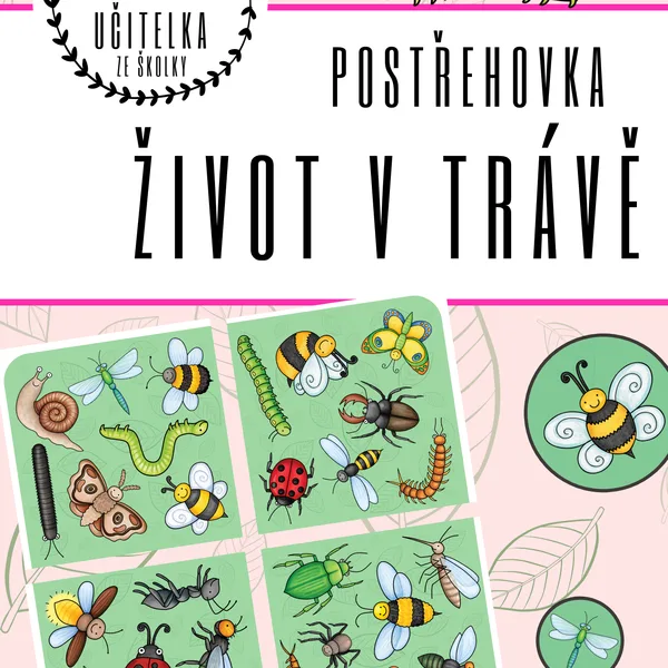 Hmyz - drobní živočichové