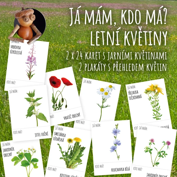 Letní květiny - já mám, kdo má? 1