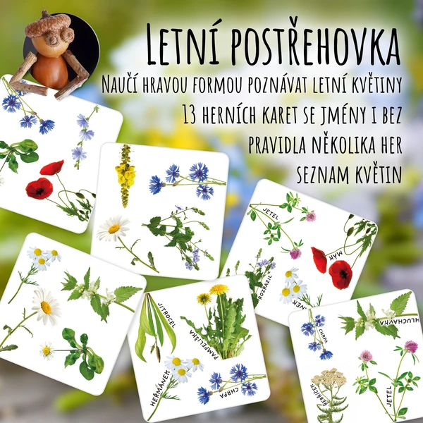 Letní květiny - postřehovka 1