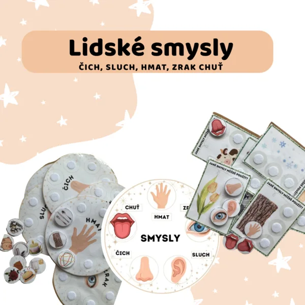Lidské smysly 1