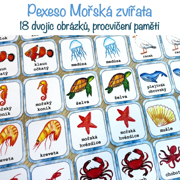 Pexeso - Mořská zvířata 1