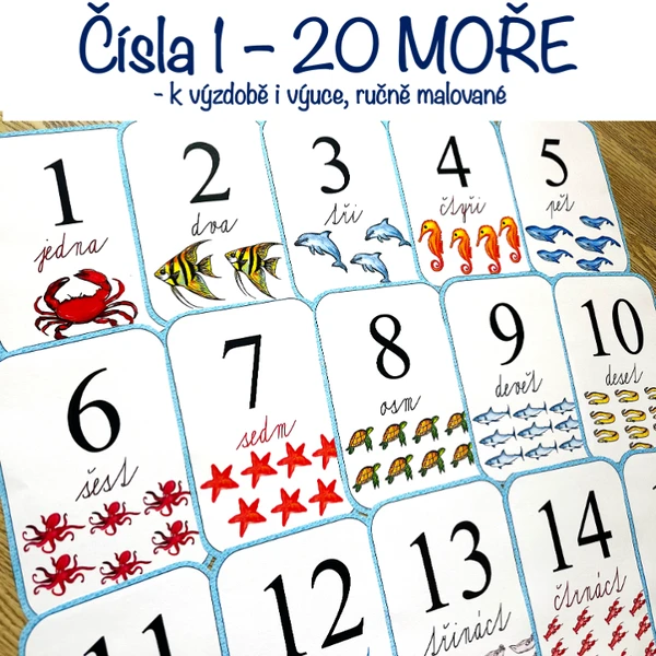 Čísla 1 - 20 Moře/Mořská zvířata 1