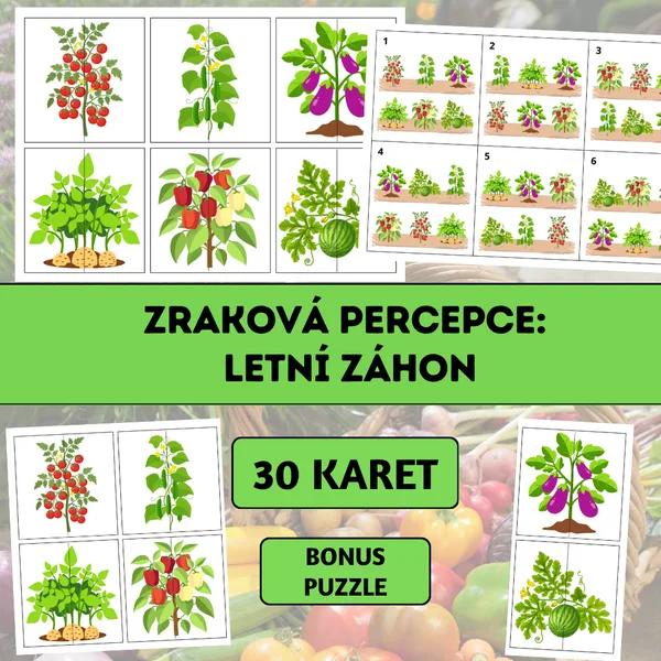 Zraková percepce: Letní záhon 1