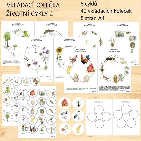 vkládací kolečka ŽIVOTNÍ CYKLY 2 1