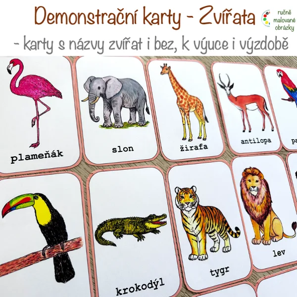 Demonstrační karty - Zvířata 1