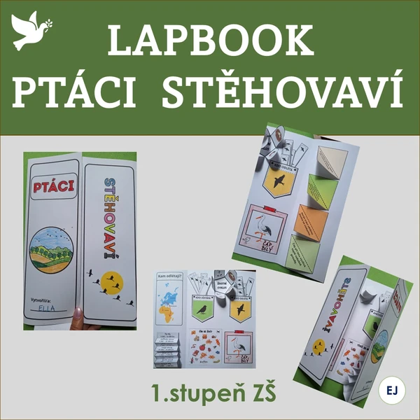 Lapbook - ptáci stěhovaví 1