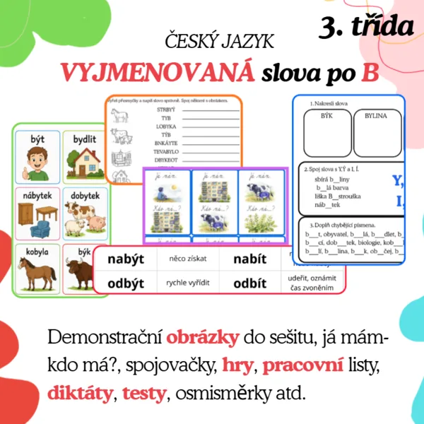 Vyjmenovaná slova po B-soubor aktivit 1