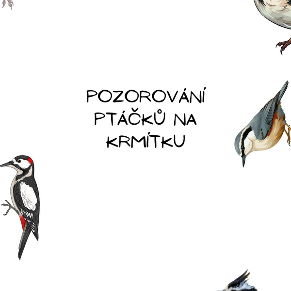Ptáčci na krmítku 1