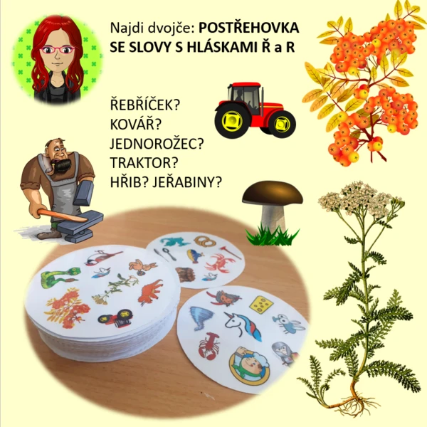 Najdi dvojče - R a Ř - logo postřehovka 1