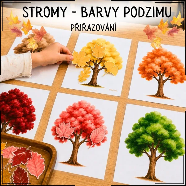 Stromy - barvy podzimu 1