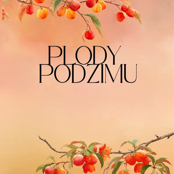 Demonstrační obrázky plody podzimu 1