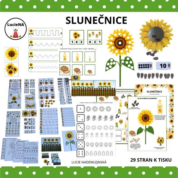 Slunečnice 1