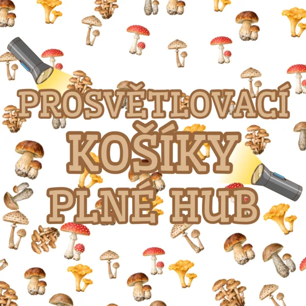 KOŠÍKY S HOUBAMI – PROSVĚTLOVACÍ OBRÁZKY 1