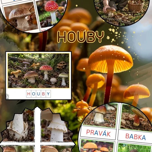 Houby - balíček 1