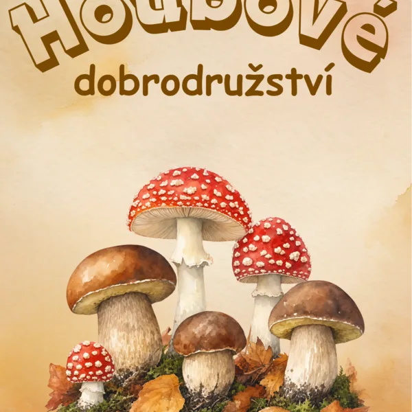 Houbové dobrodružství 1