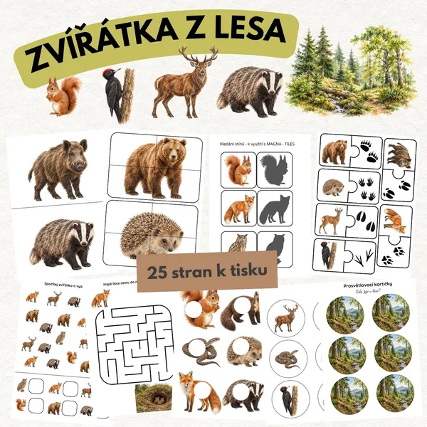 🦊 Zvířátka z lesa - velký soubor aktivit🌲 1