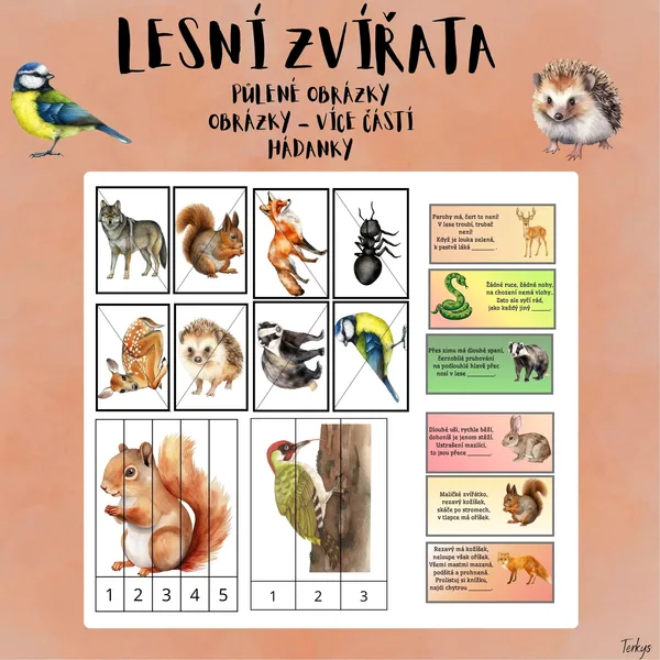 Lesní zvířata - půlené obrázky, hádanky 1