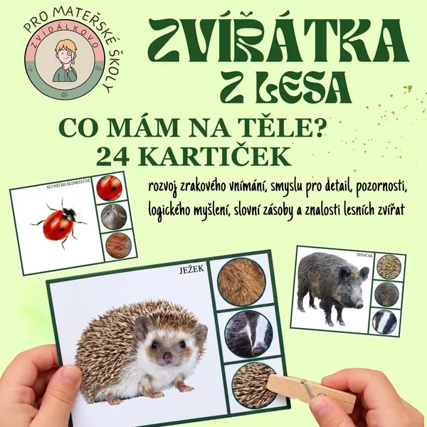 Zvířátka v lese - co mám na těle 1