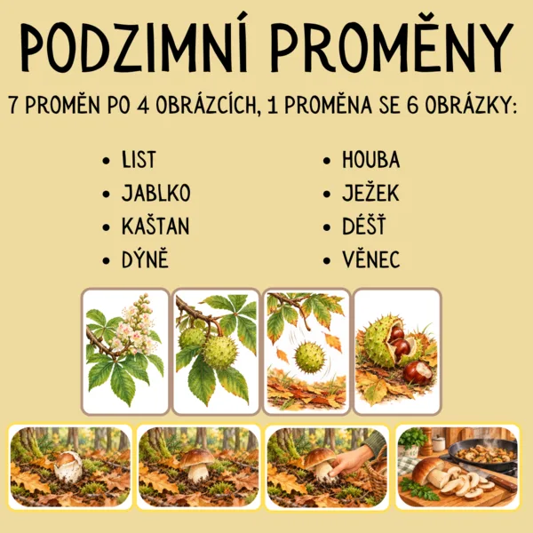 Podzimní proměny 1