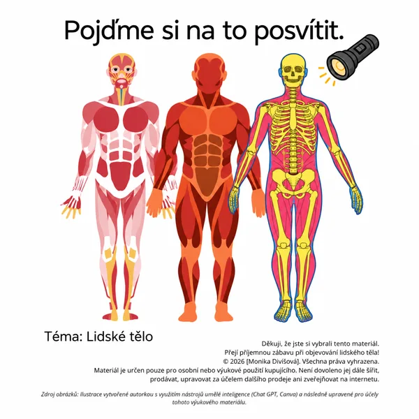Rentgen částí lidského těla 1
