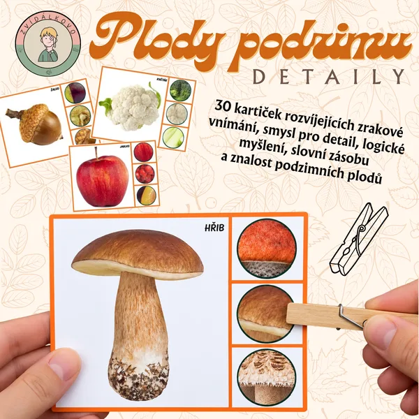 Plody podzimu - detaily 1