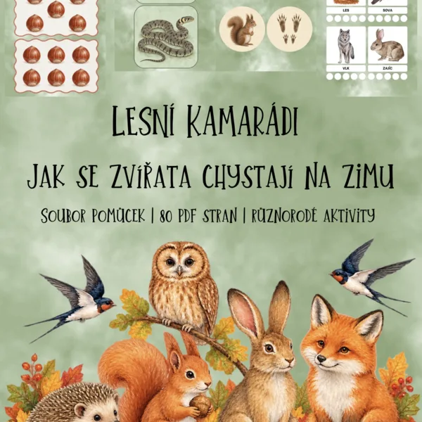 🍂 LESNÍ KAMARÁDI – Jak se zvířata chystají na zimu 🦔 1