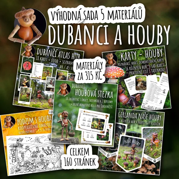 Dubánci a houby - výhodná podzimní sada 5 materiálů o houbách 1