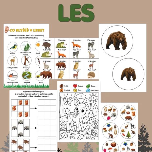 🌲Téma - LES 🦔🍄 1