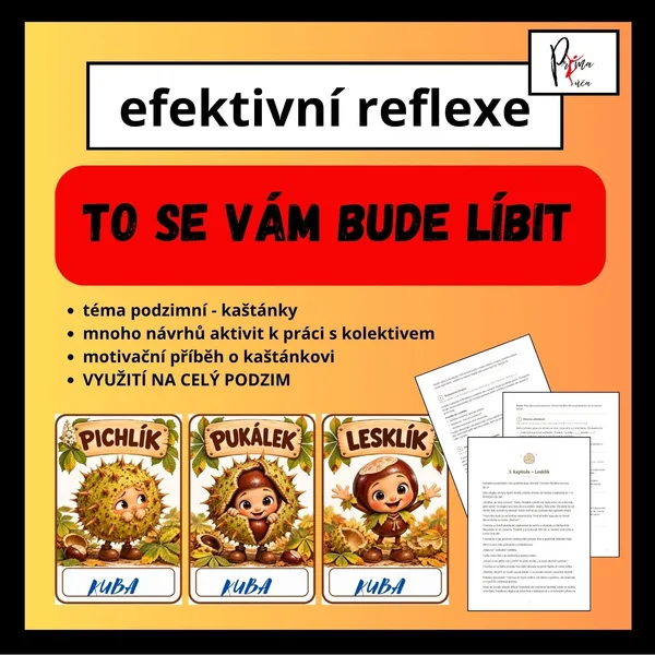 EFEKTIVNÍ REFLEXE - SEBEHODNOCENÍ DO KAŽDÉ HODINY - AKTIVITY 1