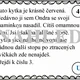 Detektivní příběh - narozeninová párty  5