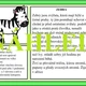 Zvířata v ZOO - práce s chybným textem 3