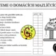 Čti o domácích mazlíčcích 3