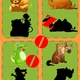 TIENE - ZOO 5