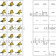 Pexeso - synonyma 2