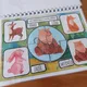 VÍTEJ, JARO! ( activity book ) 5