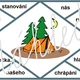 VĚTY - skládanka 2