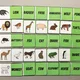 ANIMALS 4