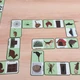 Domino - Kde žijí zvířátka 4