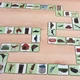 Domino - Kde žijí zvířátka 3