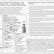 Podstatná jména (pomnožná, látková, hromadná, konkrétní, abstraktní) - s řešením 5