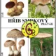 Naše houby 2